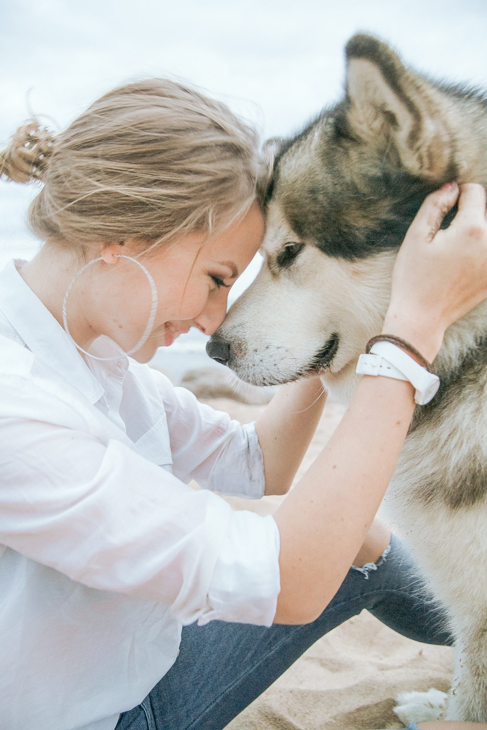 rescue pet