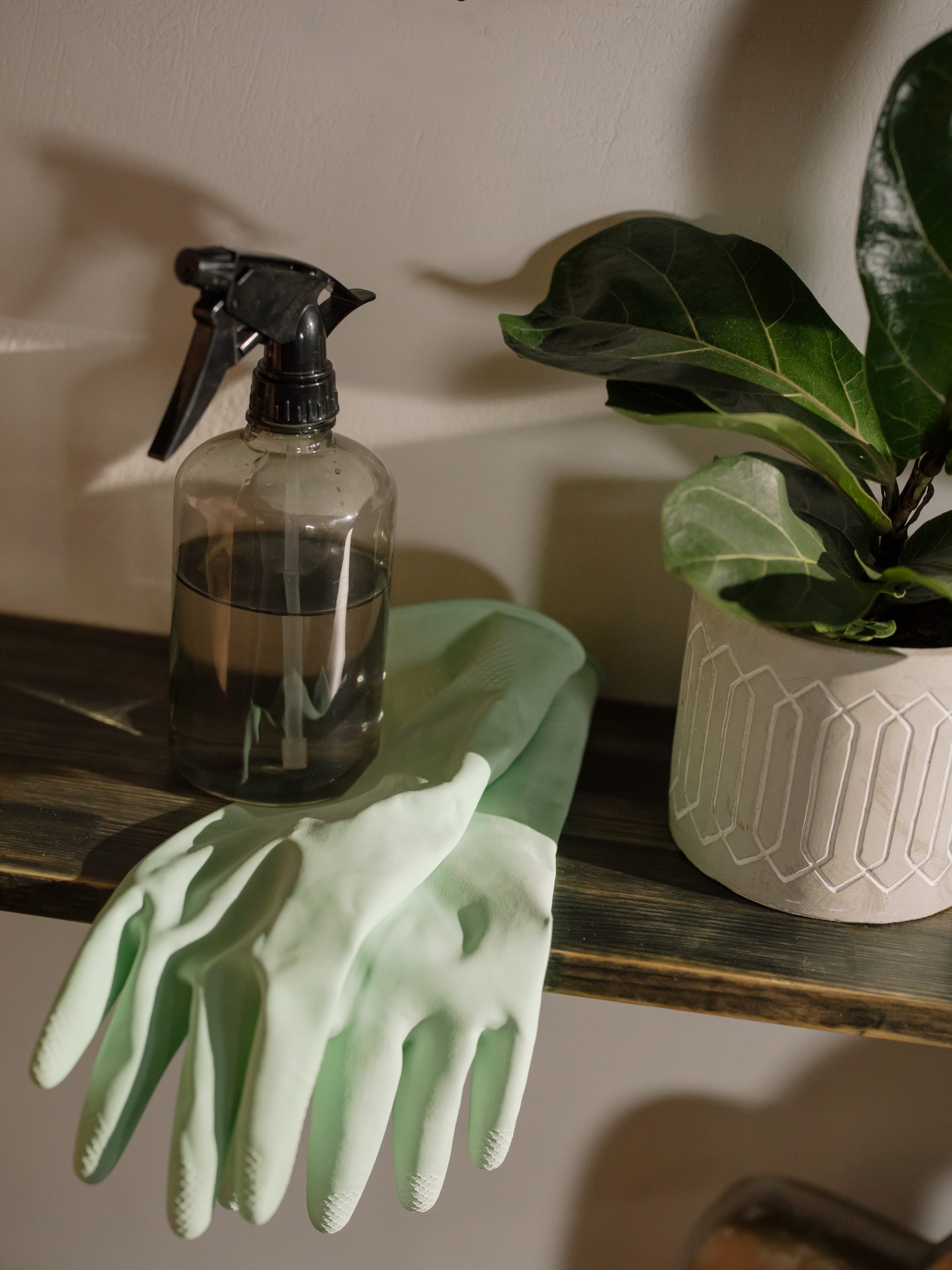 household cleaner