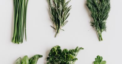 herb garden